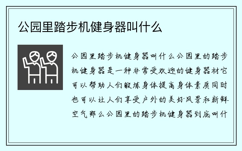 公园里踏步机健身器叫什么