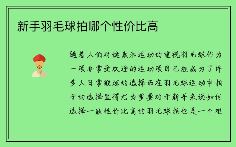 新手羽毛球拍哪个性价比高